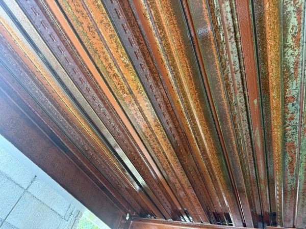 25B37754-E7E0-4016-8F88-5726CD9CF507_コピー